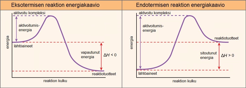 Ekso- ja endotermisen reaktion energiakaaviot