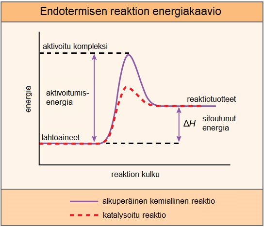 Kuvassa olomuodon muutokset: kiinteä, neste ja kaasu