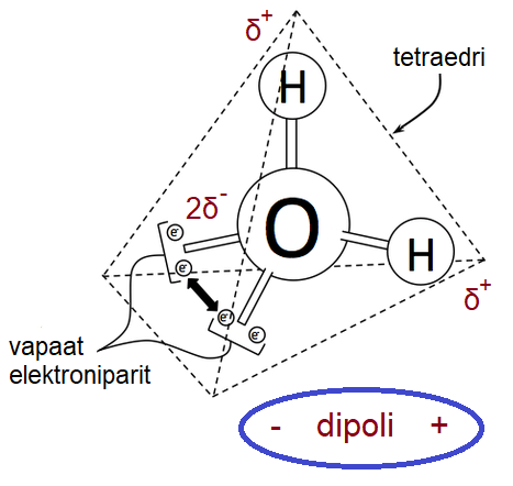 Vesimolekyyli on dipoli